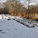 kgst-russ-halle-huttenstr-held-der-sowj-2-w-k-01-02-13